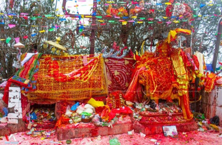 १९ हजारभन्दा बढीले गरे पाथीभरा मन्दिरमा पूजापाठ