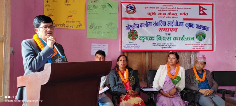 पर्वतको कुर्घामा १६ हप्ते आई.पी.एम. कृषक पाठशाला सम्पन्न