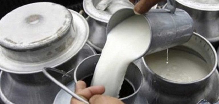 पर्वतको मोदी गाउँपालिकाले दुध उत्पादनमा अनुदान दिने