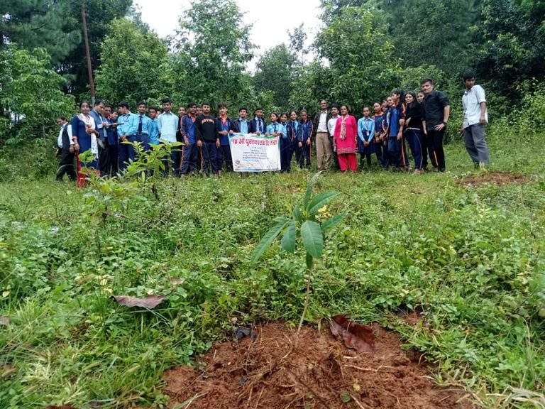 पुस्तकालय दिवसको अवसरमा फलेवासमा वृक्षरोपण, वातावरण संरक्षणमा जोड!