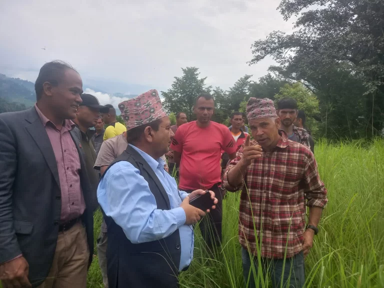 खुर्कोट– बुटवल प्रसारण लाईनमा पर्ने फलेवासमा हाईटेन्सन लाईन बिस्तारका लागि सर्भे