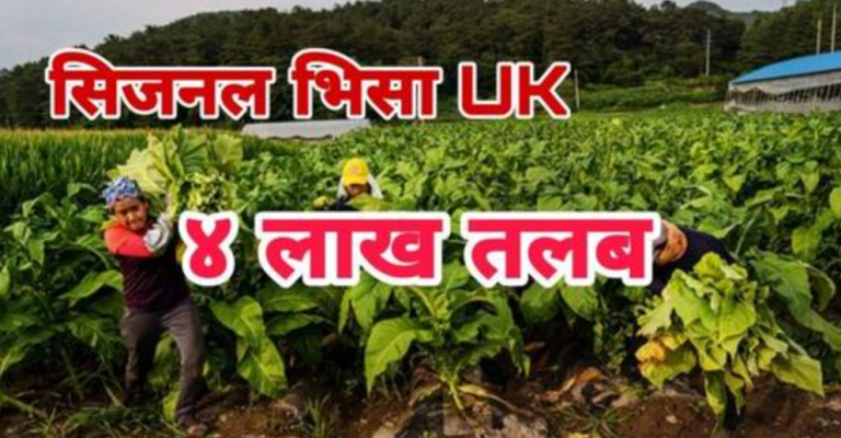 मासिक ४ लाख तलब सहित सिजनल भिसामा युके रोजगारी ! फ्रि भिसा फ्रि टिकटमा पठाउने !