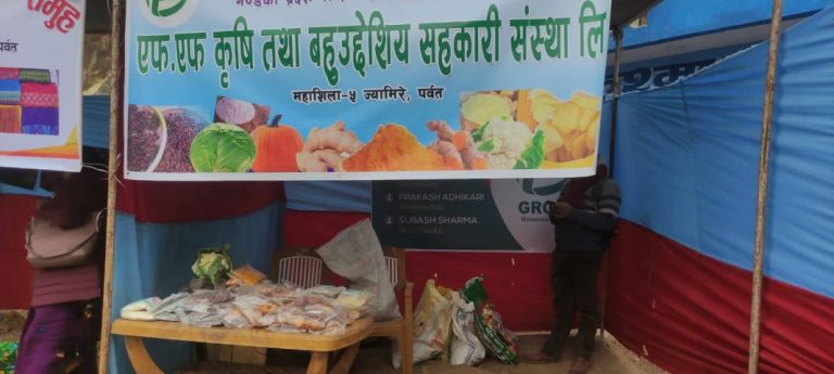 महाशिलामा उत्पादित अर्गानिक कृषि उपज पर्वत महोत्सवमा बिक्री