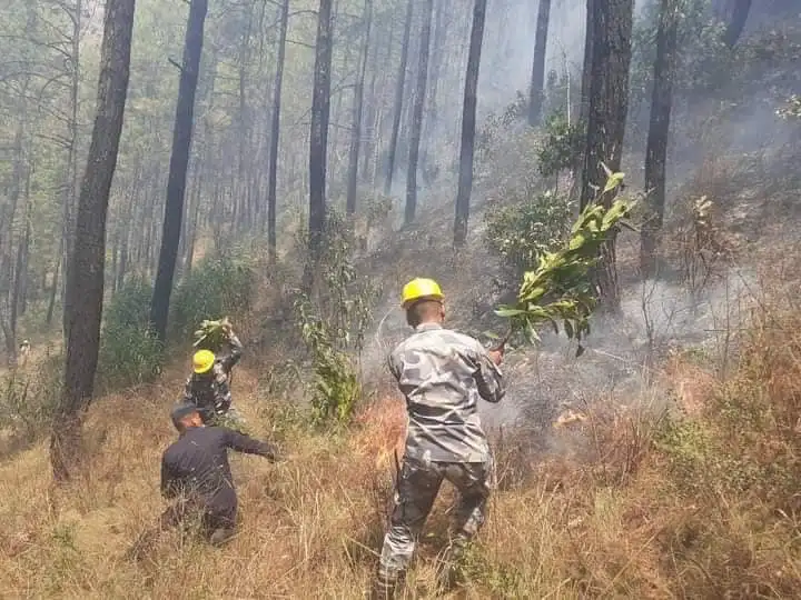 पर्वतमा दर्जनभन्दा बढी सामुदायिक वनमा डढेलो