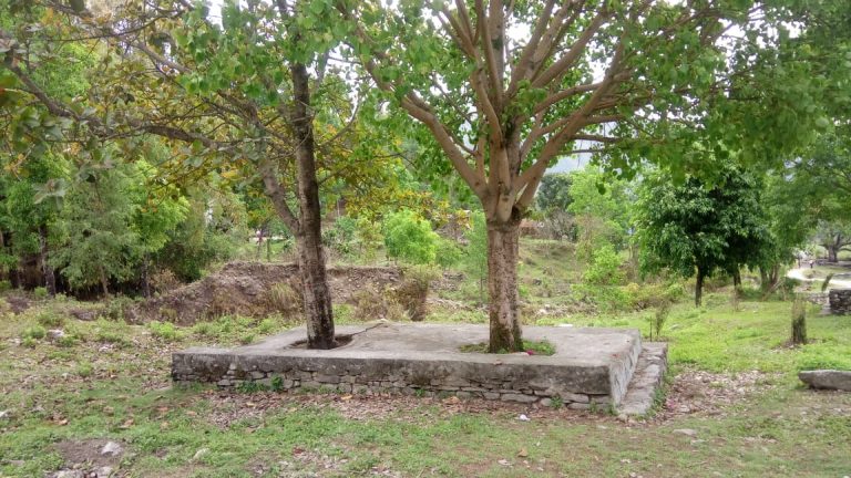 पाल्पामा गाउँका चौतारीमा निःशुल्क इन्टरनेट