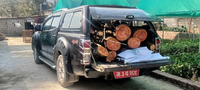 पर्वतमा अबैध काठ सहित सवारी साधन प्रहरीको नियन्त्रणमा