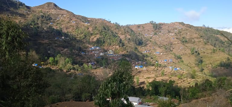 महाशिलाको रणनीतिक पहल:बसाइँसराइ गएकालाई गाउँ फर्काउन र उत्पादनमा जोड दिन अनुदानको व्यवस्था